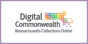 Ravaijja Digital Commonwelath